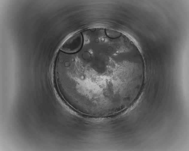 X0000116020949200911271113