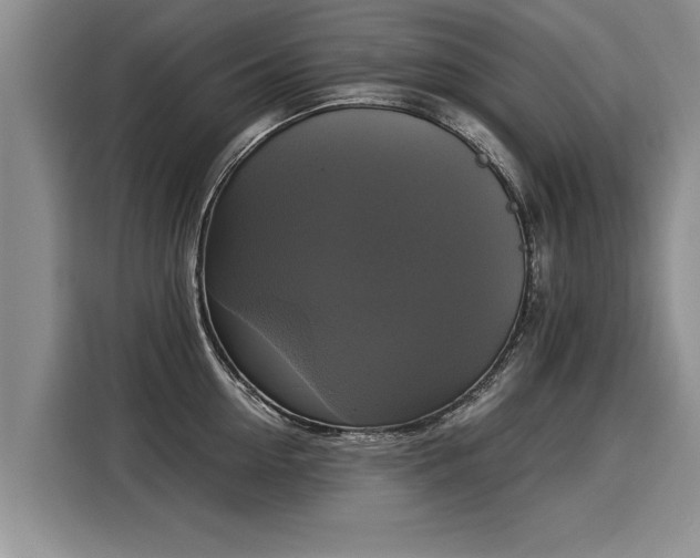 X0000116020954200911271113