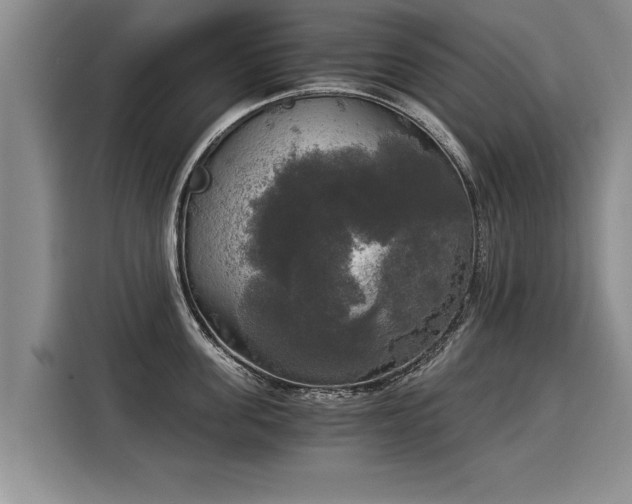 X0000116020955200911271113