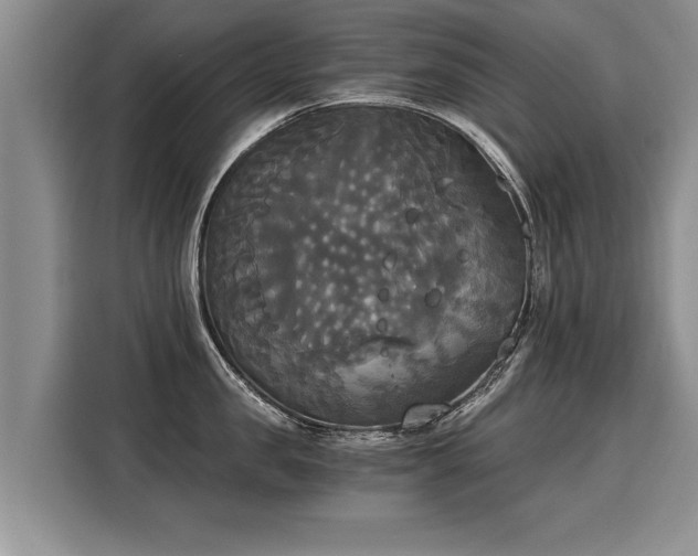 X0000116020957200911271113