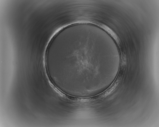 X0000116020958200911271113