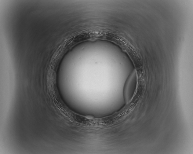 X0000116020961200911271113