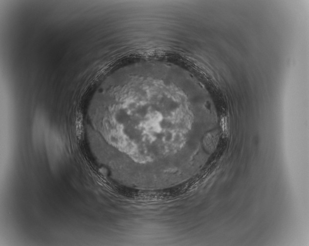 X0000116020963200911271113