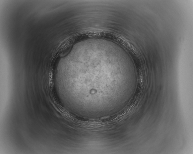 X0000116020964200911271113