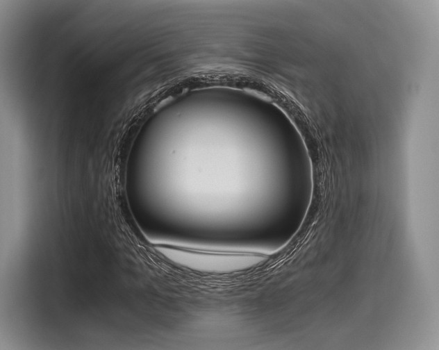 X0000116020965200911271113