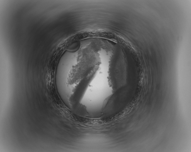 X0000116020966200911271113