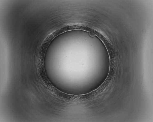 X0000116020967200911271113