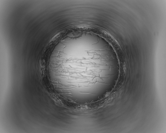 X0000116020968200911271113