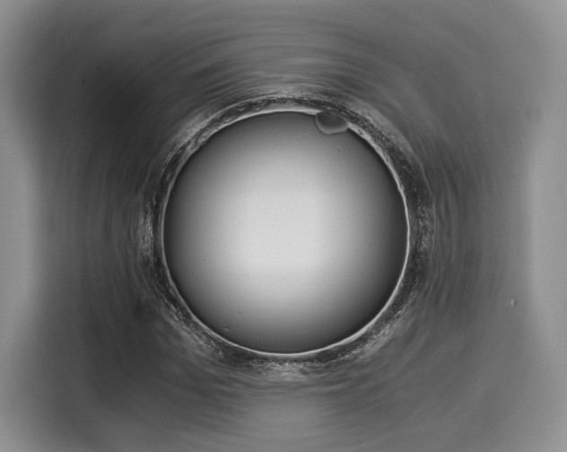 X0000116020969200911271113