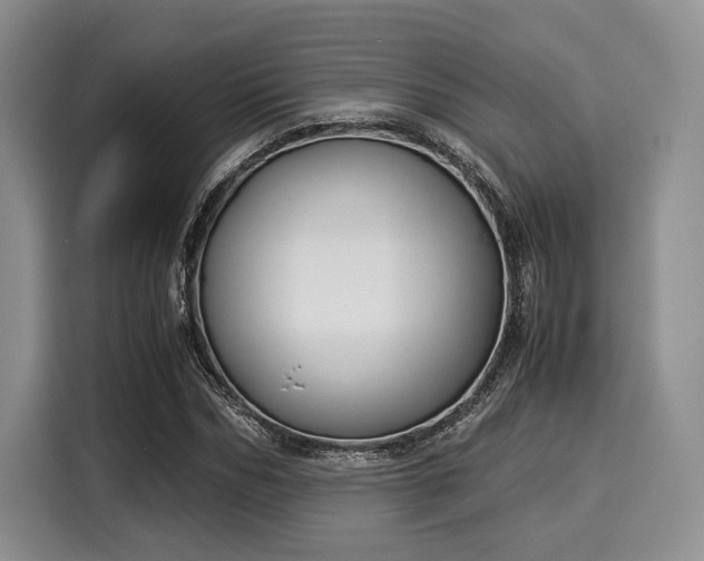 X0000116020970200911271113