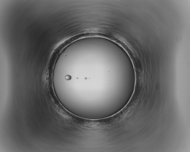 X0000116020971200911271112