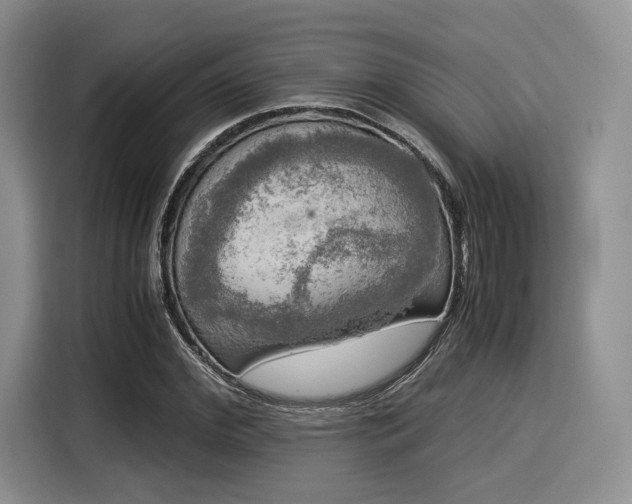 X0000116020972200911271112