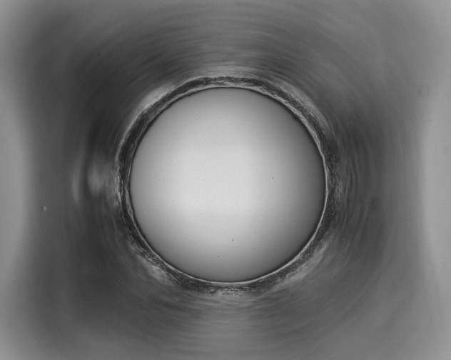 X0000116020974200911271112