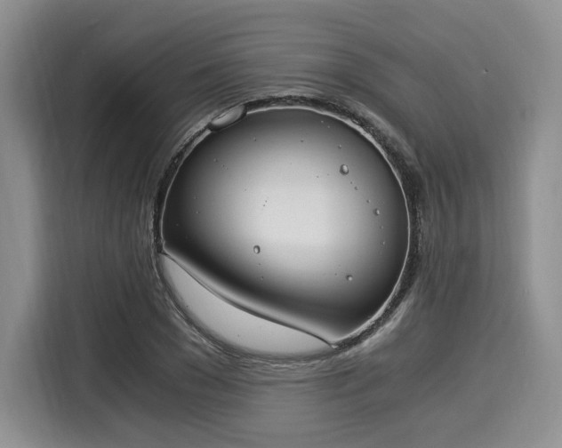 X0000116020977200911271112