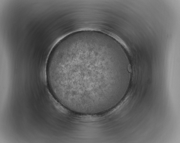 X0000116020980200911271112