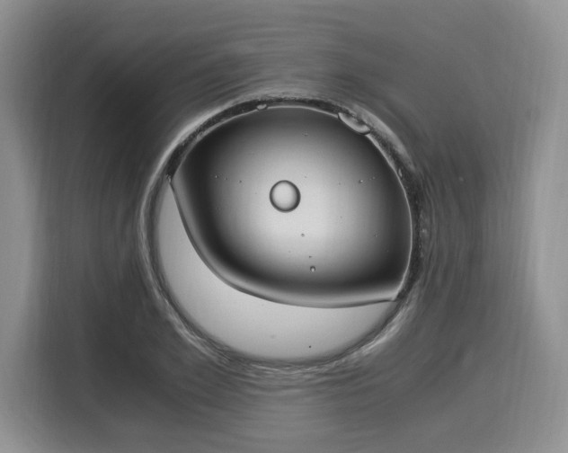 X0000116020981200911271112