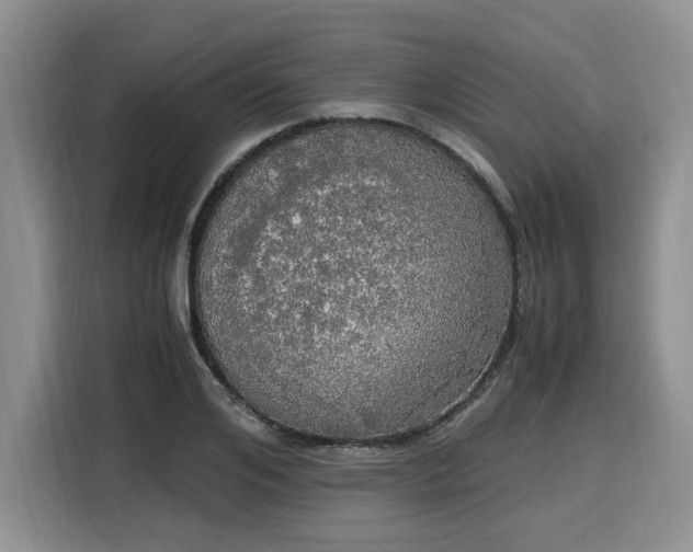 X0000116020984200911271112