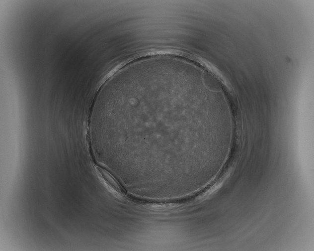 X0000116020985200911271112