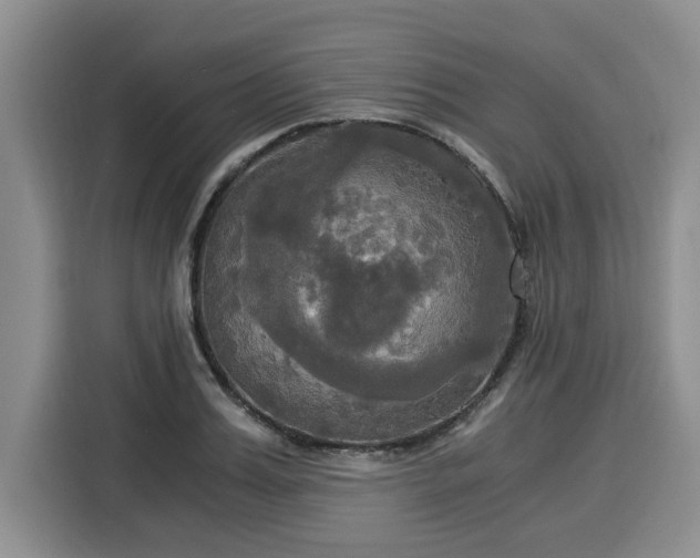 X0000116020987200911271112