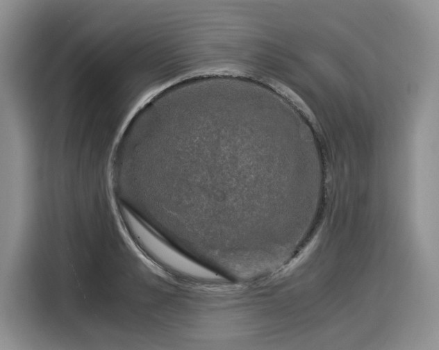 X0000116020989200911271112