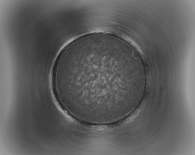 X0000116020991200911271112