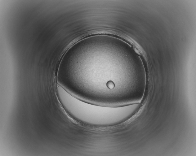 X0000116020993200911271112