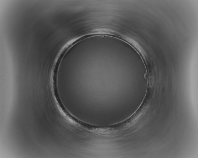 X0000116020995200911271112