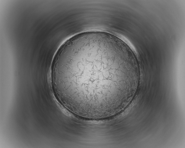 X0000116020996200911271112