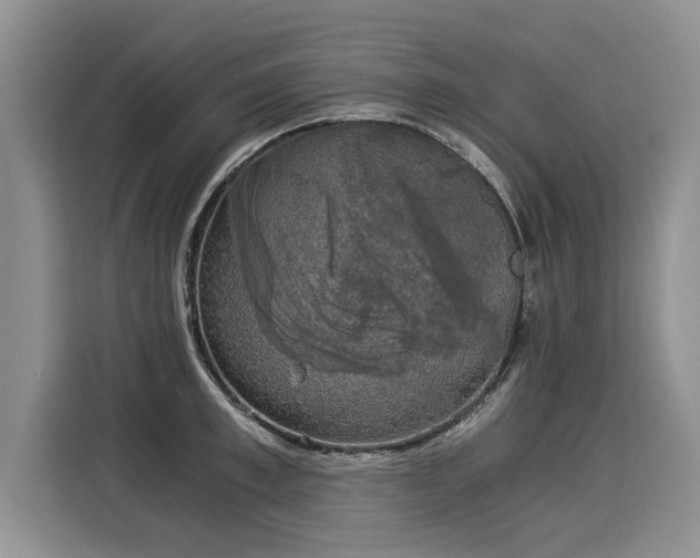 X0000116020997200911271112