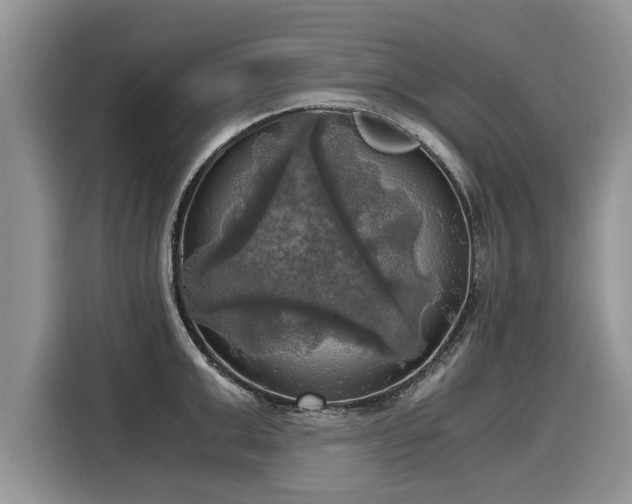 X0000116020999200911271112