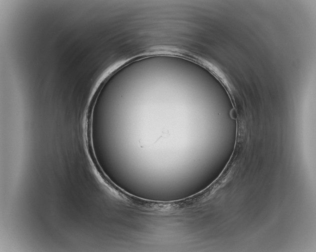 X0000116021003200911271112