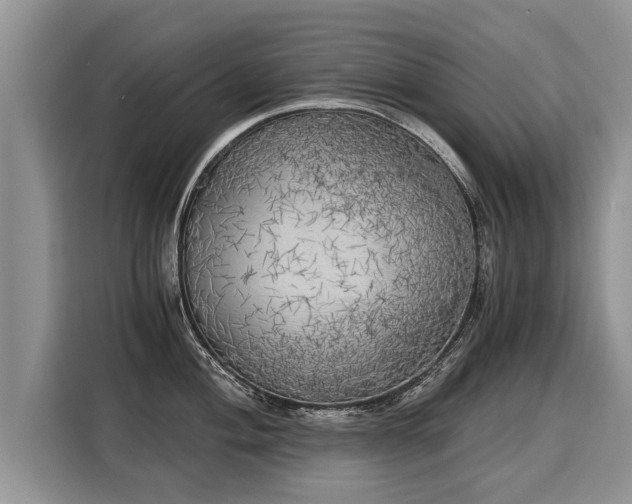 X0000116021004200911271112
