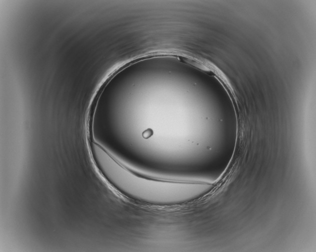 X0000116021005200911271112