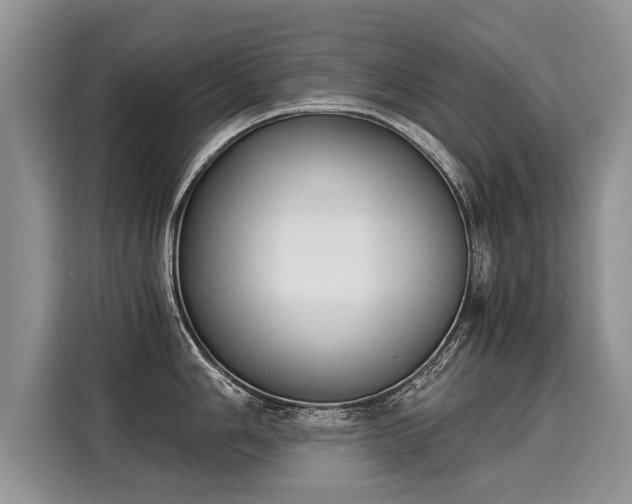 X0000116021006200911271112