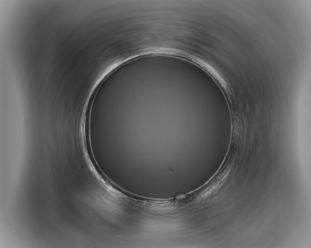 X0000116021007200911271112