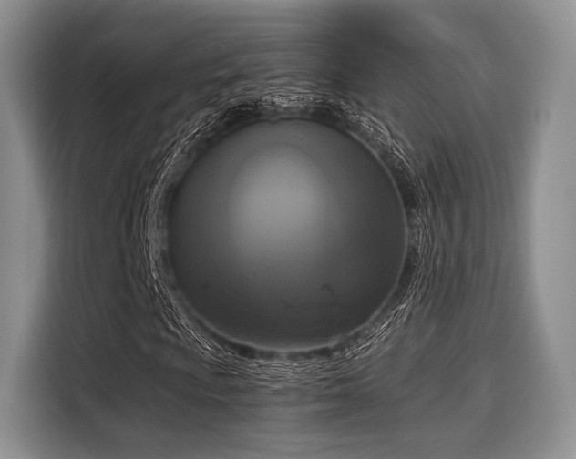 X0000116021009200911271111