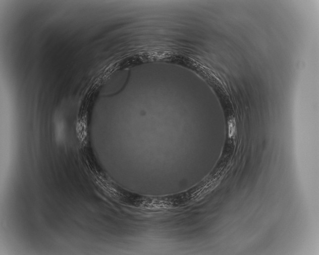 X0000116021011200911271111