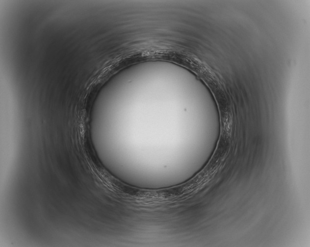 X0000116021012200911271111