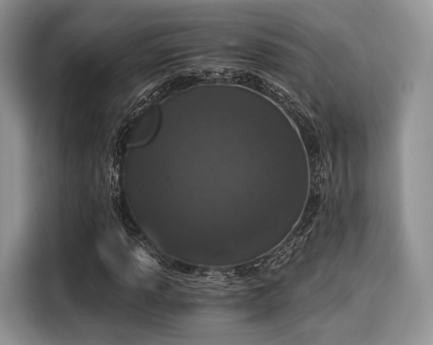 X0000116021013200911271111