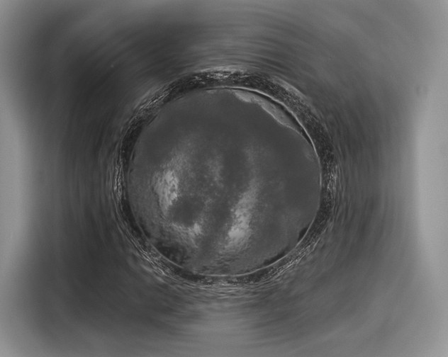 X0000116021014200911271111