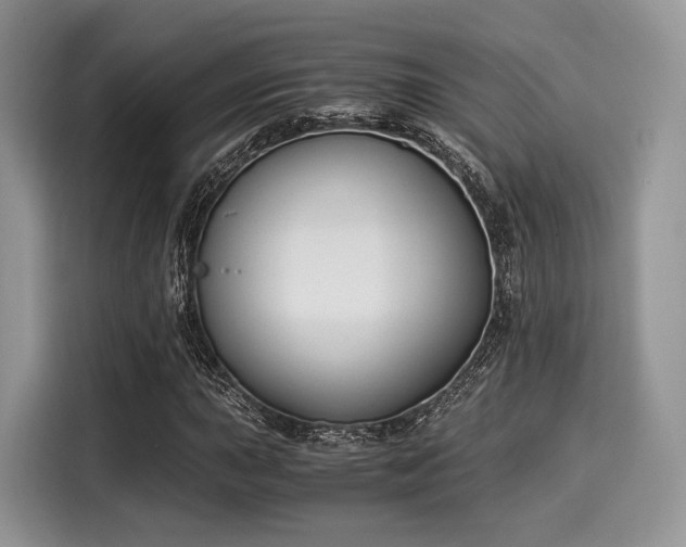 X0000116021015200911271111