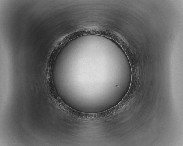 X0000116021016200911271111