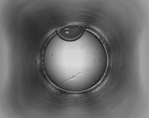 X0000116021017200911271111