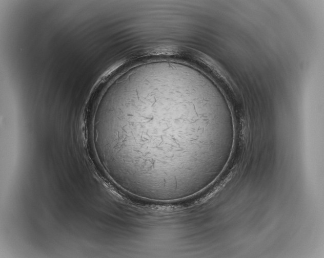 X0000116021018200911271112