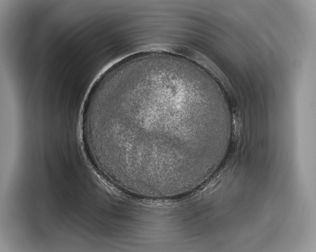 X0000116021020200911271112