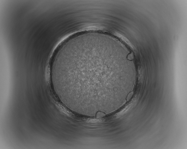 X0000116021021200911271112