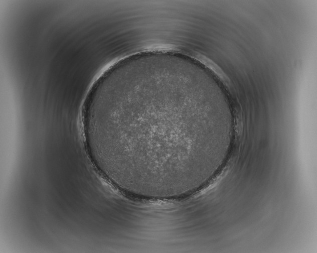 X0000116021022200911271112