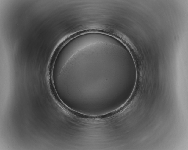 X0000116021024200911271112