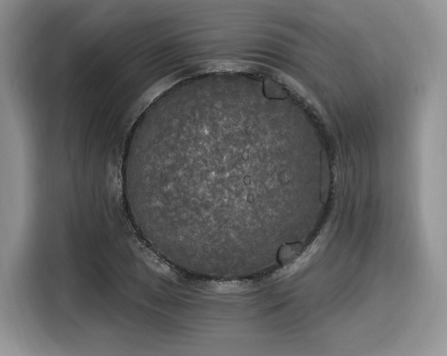 X0000116021025200911271112