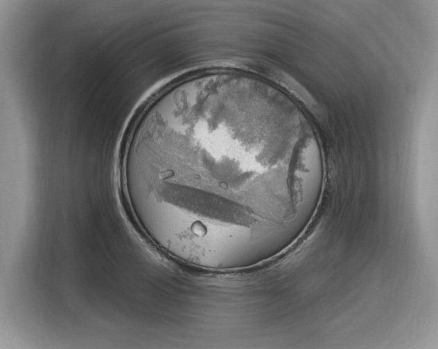 X0000116021028200911271112